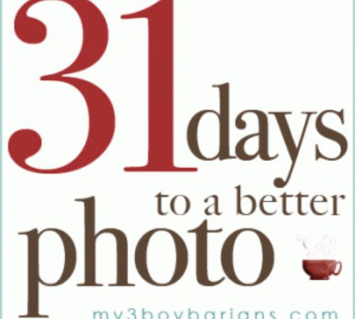 31 Days to a Better Photo – Day 8 #projectblogboek