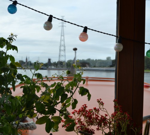 Nomnomnommonnom #projectblogboek