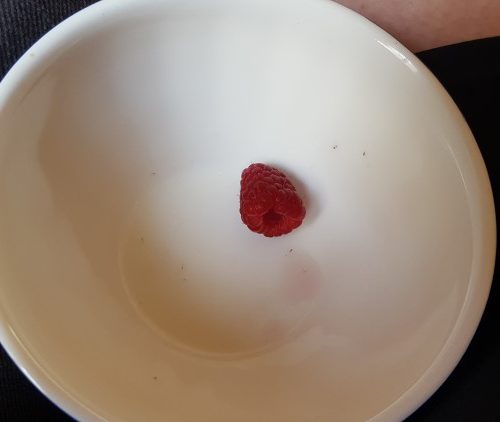 Deel jouw beste blogtips #projectblogboek