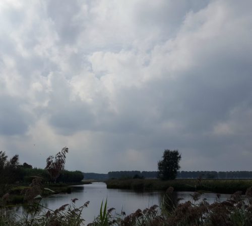 Resultaat van de MRI scan