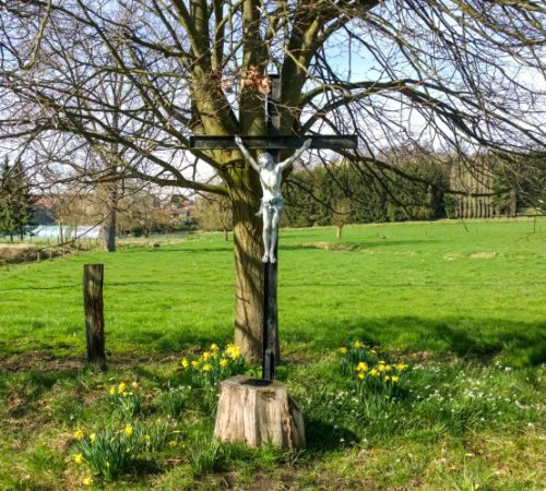 Tussentijdse controle