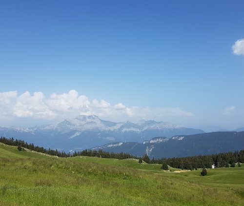 Checklist #projectblogboek