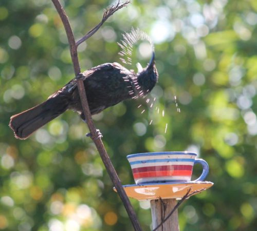 Ziek zijn: de kleine kantjes (3)