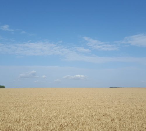 Op reis: Chaumont / Saint-Seine-l’Abbaye