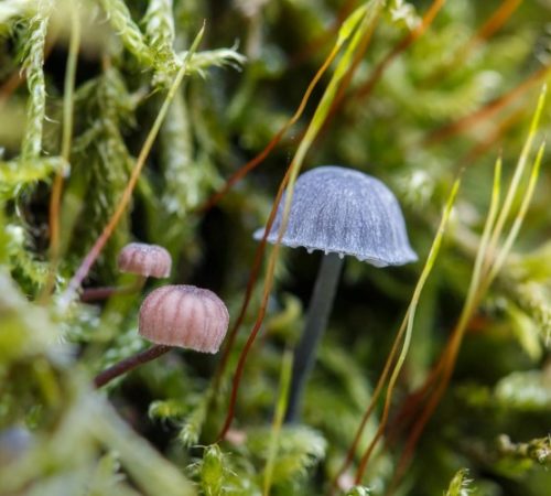 Dagboek van de bestraling – week 1