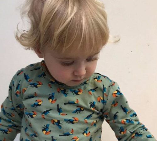 Huisvlijt voor het peutertje #lililove