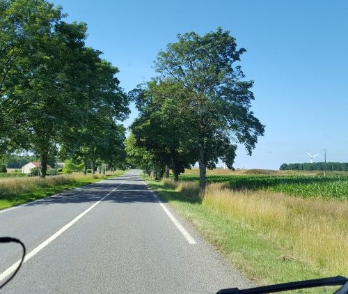 Round-up over een bepaald thema #projectblogboek