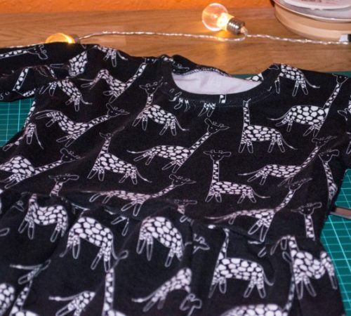 Cadeautjes voor Vif – pennenzak voor Lies