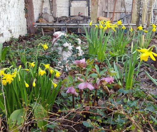 Week in beeld – week 11