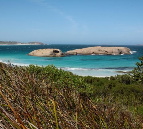 Een nieuwe start #40dagenbloggen