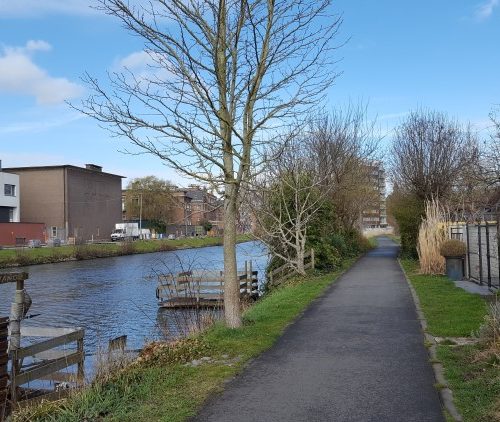 Week in beeld – week 14