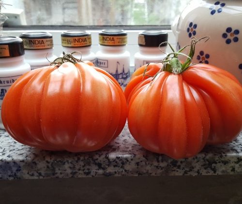 Week in beeld – week 16