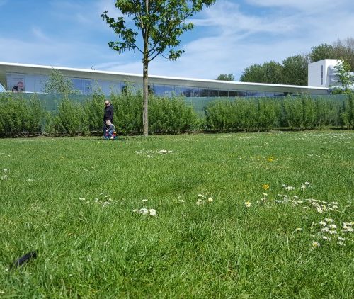 Week in beeld – week 18