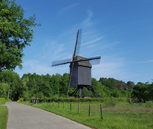 Week in beeld – week 19