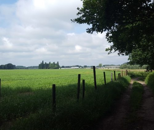 Week in beeld – week 22