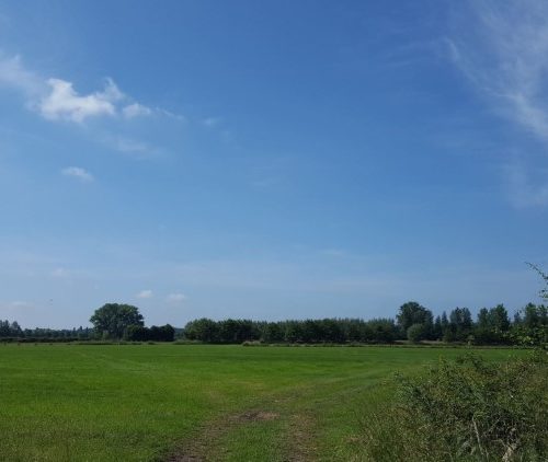 Week in beeld – week 23