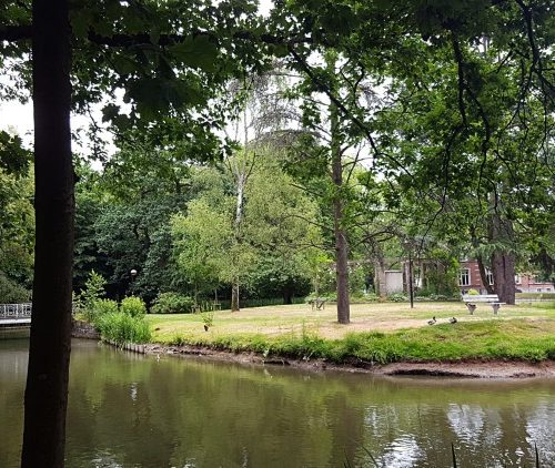 Week in beeld – week 24