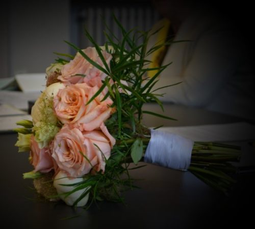 Week in beeld – week 25