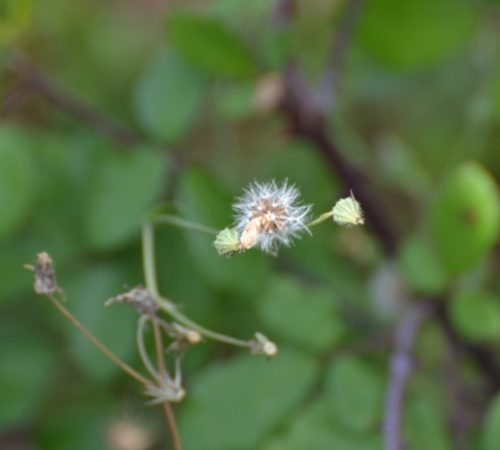 Op reis: Neuvy-le-Barrois – Mantenay Montlin