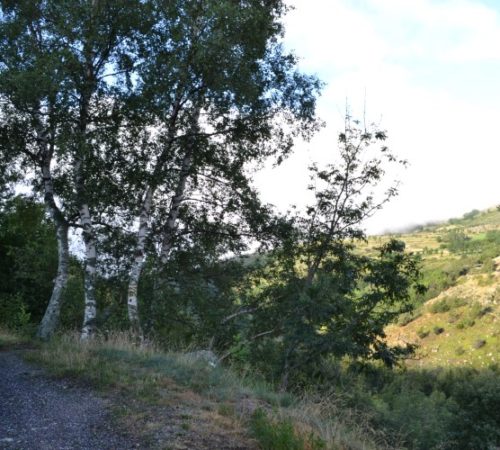 Op reis: Langogne – Le Pont-de-Montvert – La Cavalerie