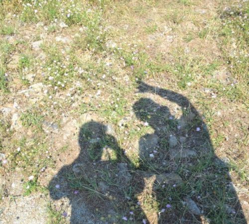 Op reis: La Barre-de-Monts – La Chapelle-Palluau