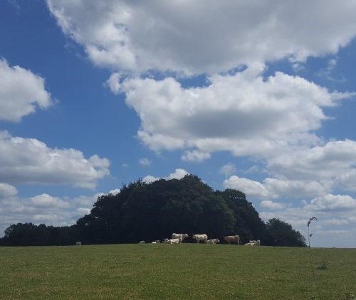 1000 vragen aan jezelf (12)