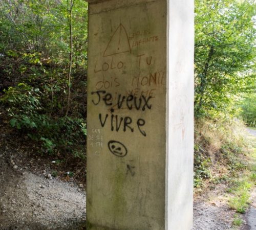 Week in beeld – week 34