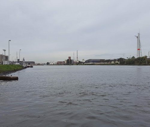 Week in beeld – week 35