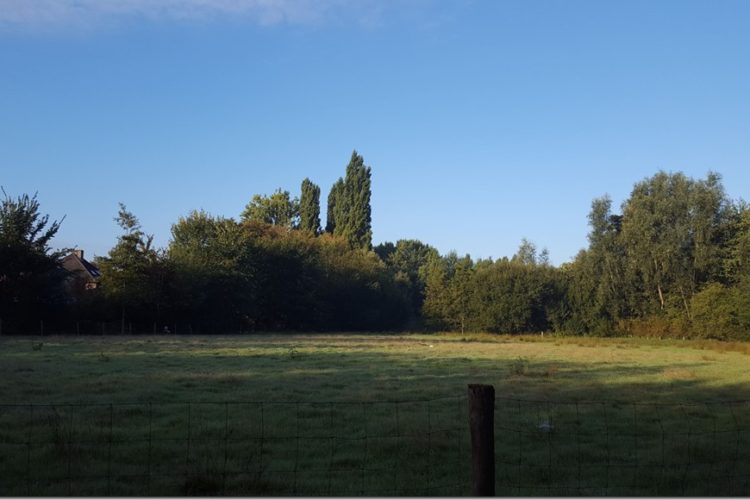 Week in beeld – week 37