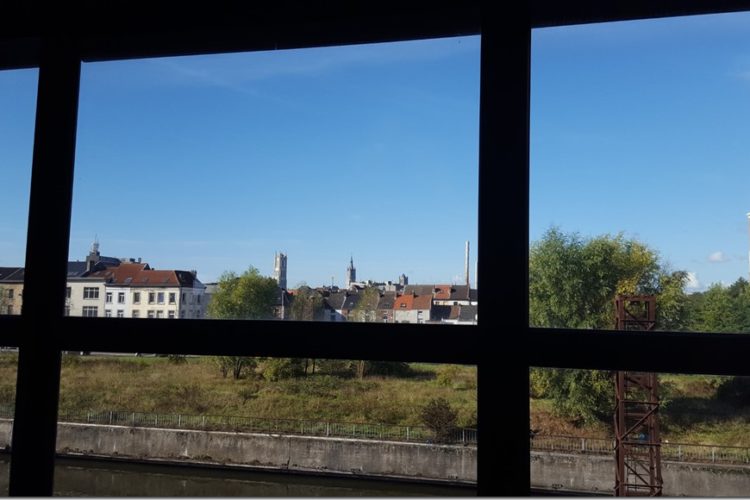 Week in beeld – week 39