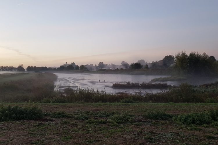 Week in beeld – week 40