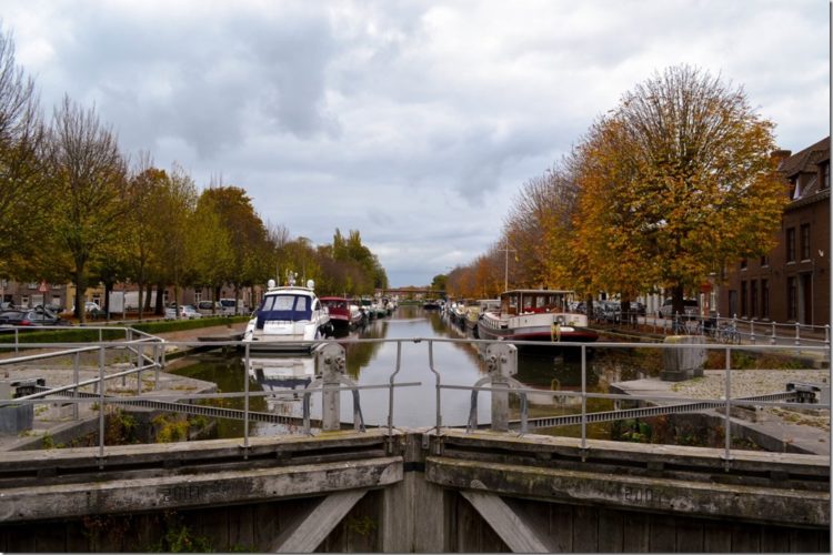 Week in beeld – week 43