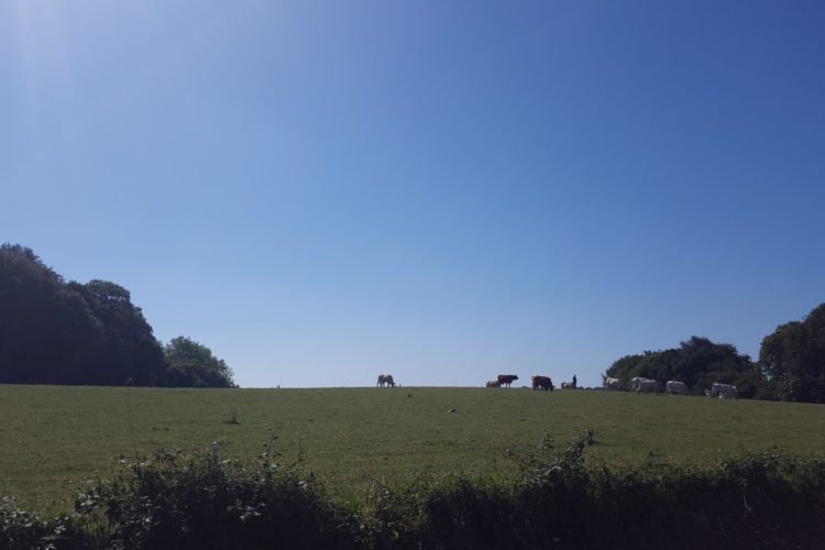 Op reis in groen en blauw