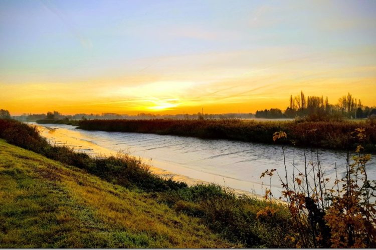 Week in beeld – week 46