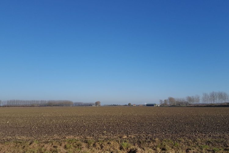 Week in beeld – week 47