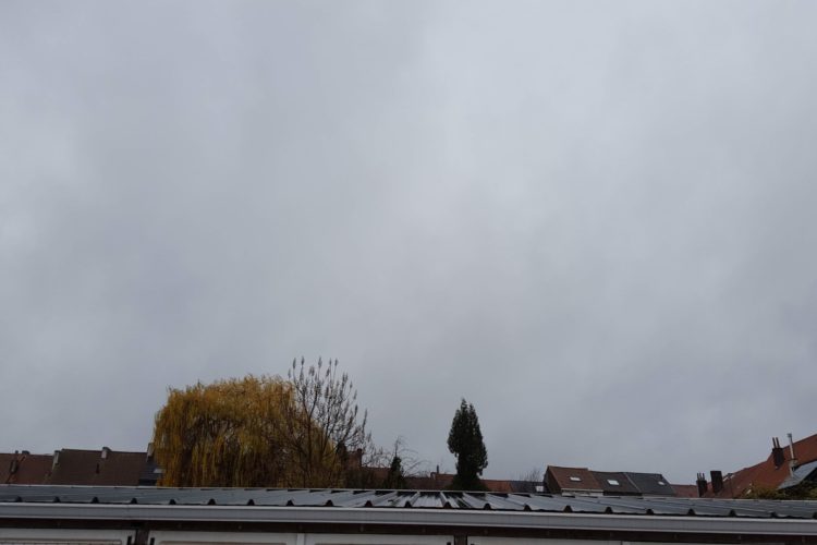 Week in beeld – week 49