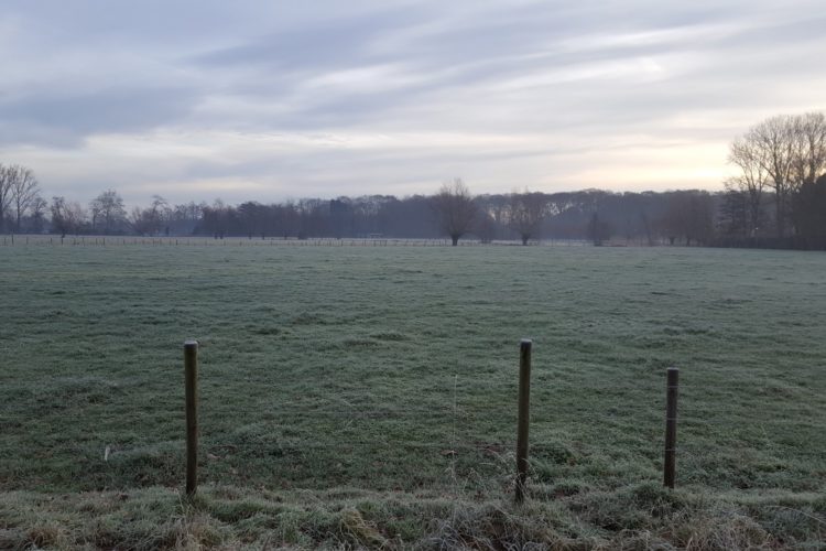 Week in beeld – week 52