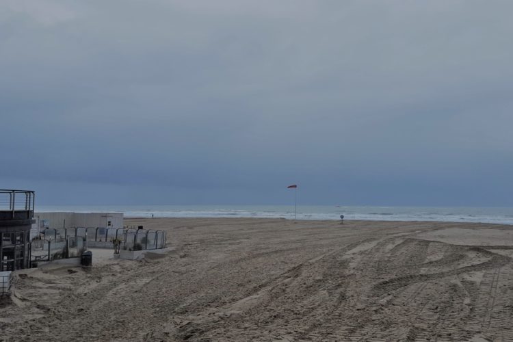 Week in beeld – week 6