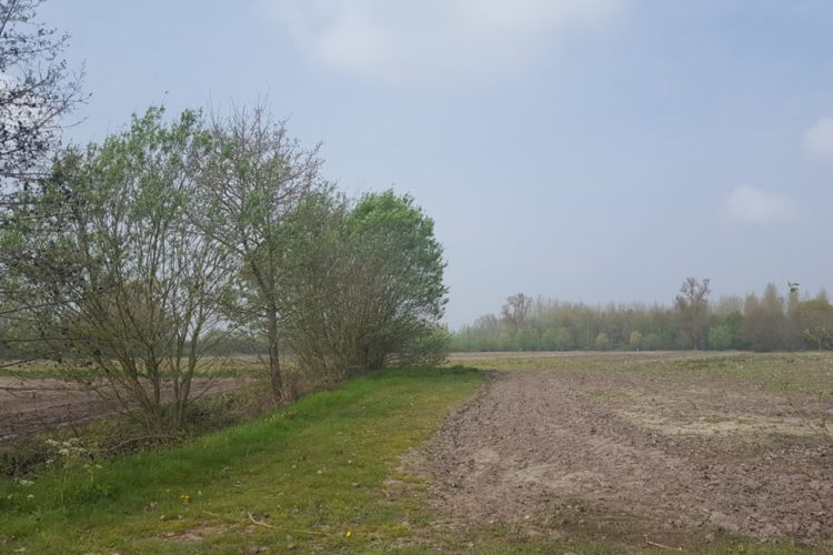 Week in beeld – week 16