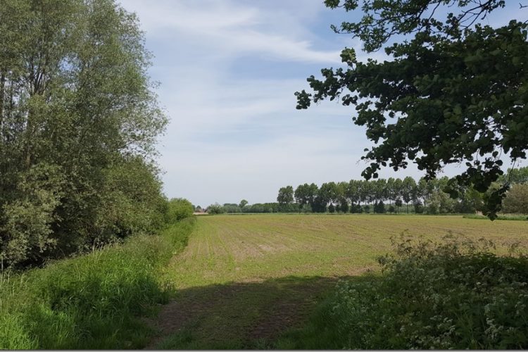 Week in beeld – week 21