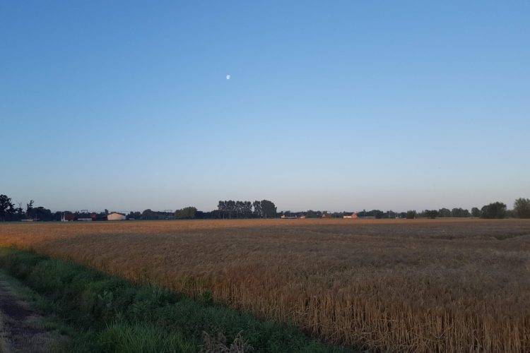 Hoe zit het nu met dat fietsschema?