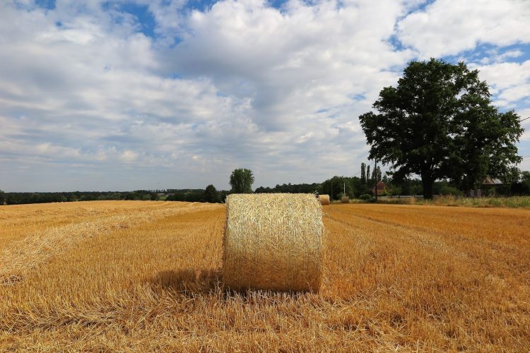 Op reis: Masevaux-Niederbruck – Seurre – Saint-Martin-en-Bresse – Villefranche-sur-SaÃ´ne