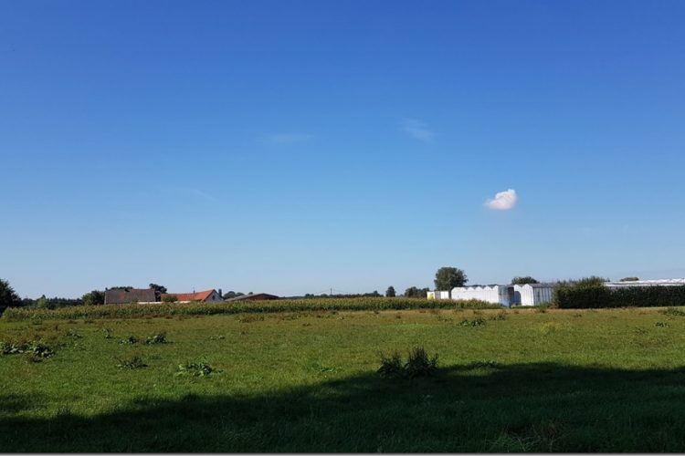 Week in beeld – week 37