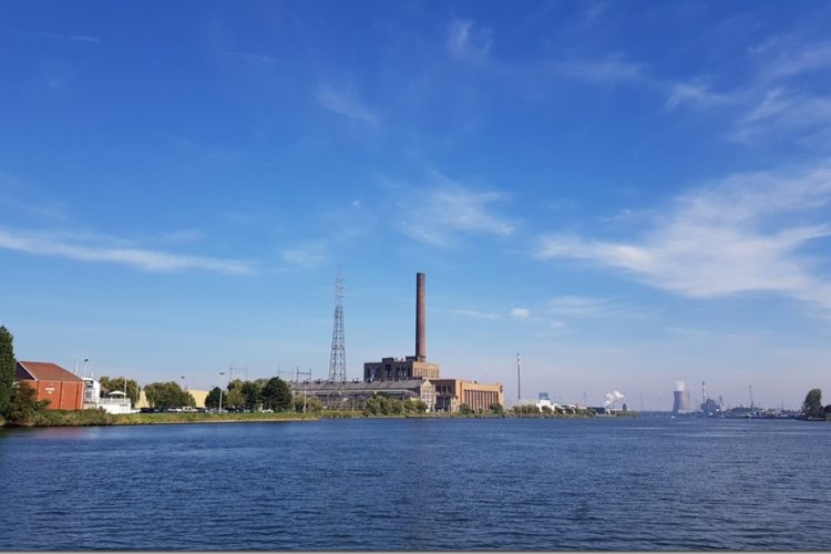 Week in beeld – week 38