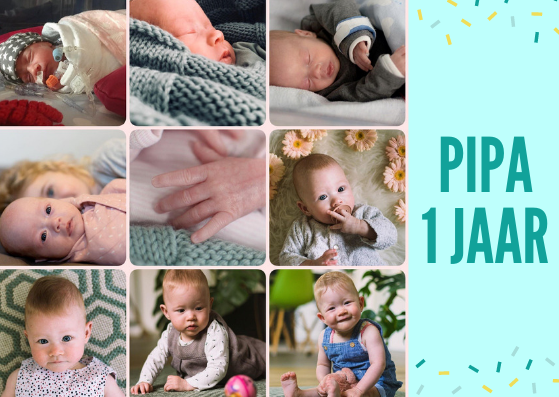 Pipa is 1 jaar!