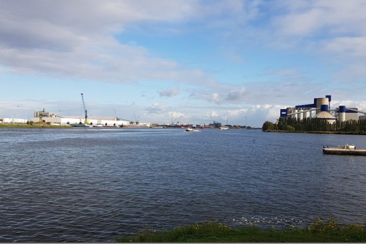 Week in beeld&ndash;week 40