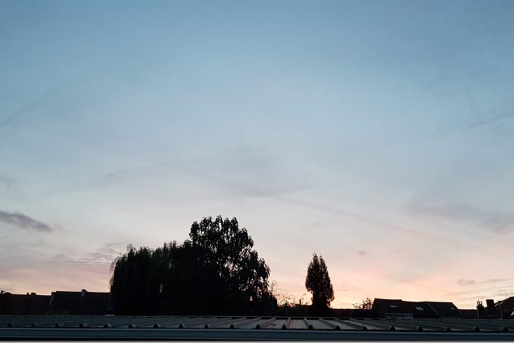 Week in beeld – week 43