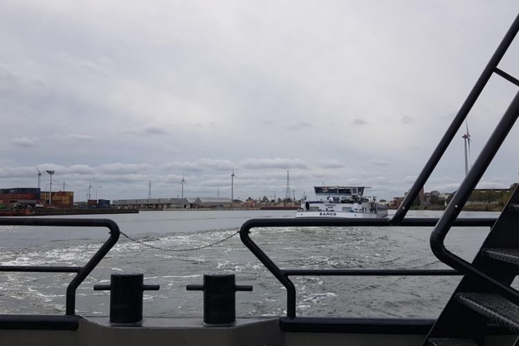 Week in beeld – week 44