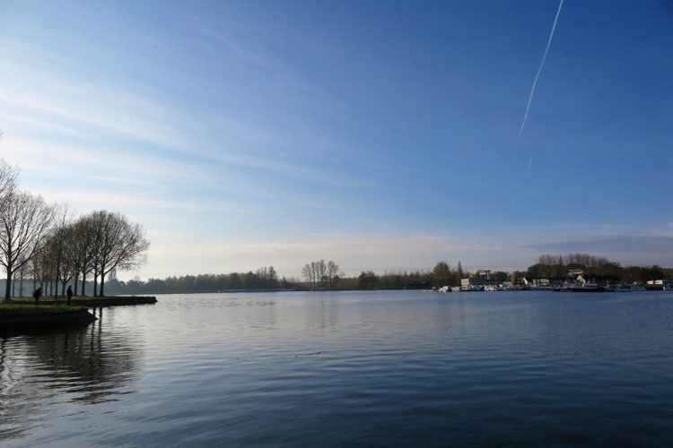 Week in beeld – week 46