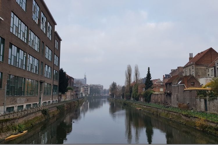 Week in beeld – week 49